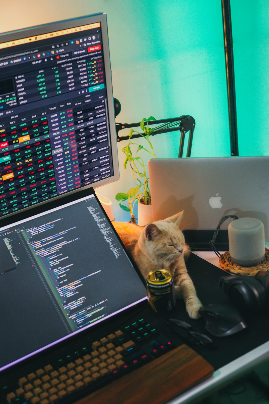 About InvestPro Academy